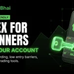 XNX Forex Trading for Beginners: – Competitor Analysis